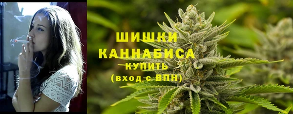 наркотики Бородино